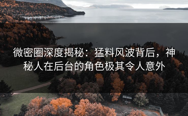 微密圈深度揭秘：猛料风波背后，神秘人在后台的角色极其令人意外