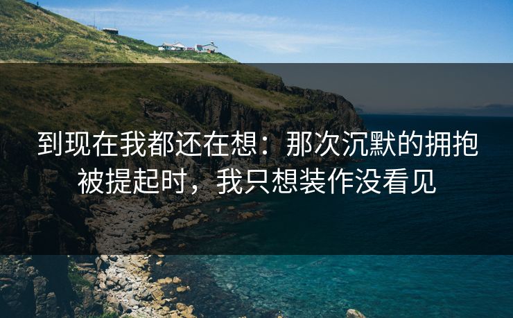 到现在我都还在想：那次沉默的拥抱被提起时，我只想装作没看见